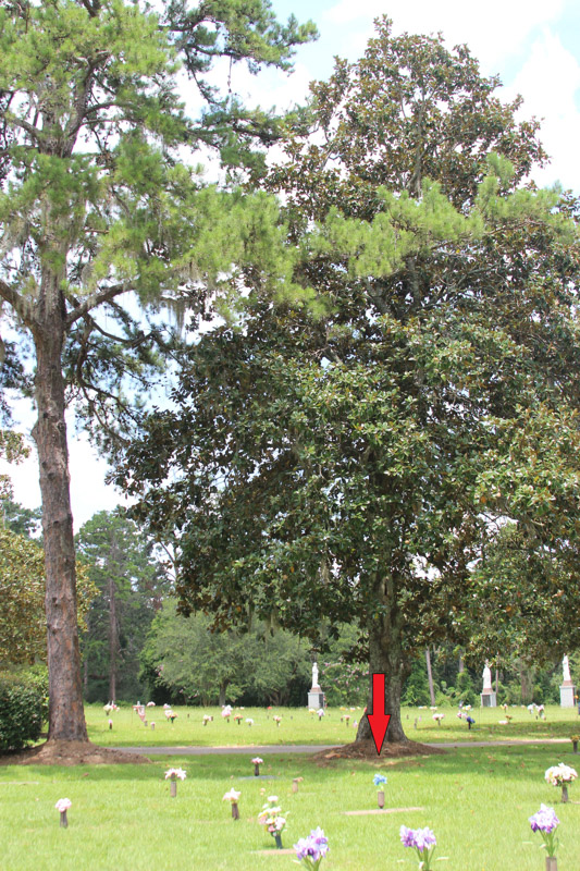 Tallahassee Fl Buy Sell Plots Lots Graves Burial Spaces Crypts