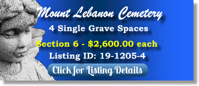 4 Single Grave Spaces for Sale $2600ea! Mount Lebanon Cemetery Pittsburgh, PA Section 6 The Cemetery Exchange
