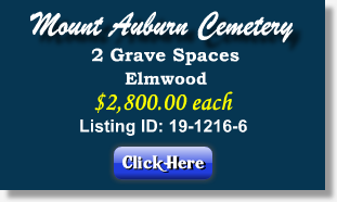 2 Grave Spaces for Sale $2800ea! Mount Auburn Cemetery Stickney, IL Elwood The Cemetery Exchange