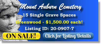15 Single Grave Spaces for Sale $1500ea! Mount Auburn Cemetery Skokie, IL Greenwood The Cemetery Exchange 20-0907-7