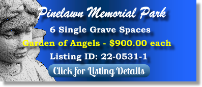 6 Single Grave Spaces for Sale $900ea! Pinelawn Memorial Park Milwaukee, WI Angels The Cemetery Exchange