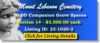 50 DD Companion Grave Spaces $3500ea Mount Lebanon Cemetery Pittsburgh, PA Section 14 The Cemetery Exchange 23-1020-3