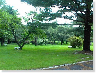 2 Single Grave Spaces $2300ea! B'Nai Abraham Memorial Park Union, NJ Jeremiah The Cemetery Exchange 23-0523-5