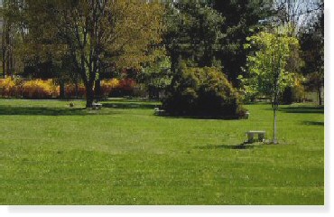 2 Single Grave Spaces for Sale $3500ea! B'nai Abraham Memorial Park Union, NJ Jacob The Cemetery Exchange 22-0411-11