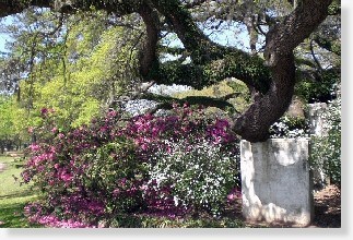 3 Single Grave Spaces $6Kea! Brookside Memorial Park Houston, TX Masters Lawn The Cemetery Exchange 23-1228-3