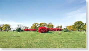 2 Grave Spaces for Sale $6K - Rose Cross - Chapel Hill Gardens South - Oak Lawn, IL - The Cemetery Exchange