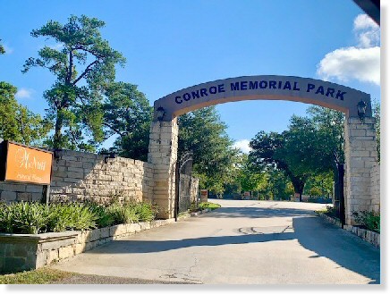 2 Single Grave Spaces for Sale $7500ea! Conroe Memorial Park Conroe, TX Section 15 The Cemetery Exchange 23-0214-5