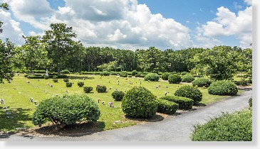 4 Single Grave Spaces for Sale $1500ea!! Fairview Memorial Gardens Stockbridge, GA Saint Mark The Cemetery Exchange 22-0525-5