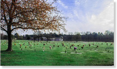 Single Grave Space $4200! Forest Hill East Memorial Park Memphis, TN Memories The Cemetery Exchange 23-0712-7