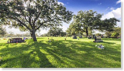 6 Single Grave Spaces $4995ea! Forest Park East Cemetery Webster, TX Highland View The Cemetery Exchange 23-0731-7