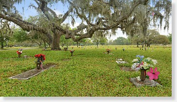 2 Single Grave Spaces for Sale $4995ea! Garden of Memories Tampa, FL Bible The Cemetery Exchange 21-0713-3