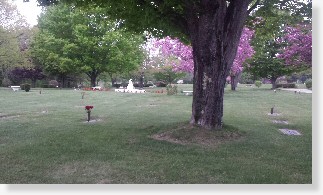 2 Single Grave Spaces $2K for both! Gracelawn Memorial Park Auburn, ME Memory The Cemetery Exchange 23-0509-4