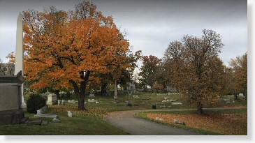 2 Grave Spaces for Sale $4800 - Star of David - Homewood Cemetery - Pittsburgh, PA - The Cemetery Exchange