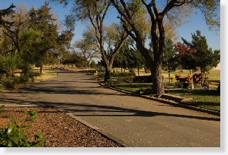 Single Grave Space for Sale $1995! Memorial Park Cemetery Amarillo, TX Memorial Lawn The Cemetery Exchange 22-0427-1