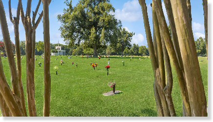 4 Single Grave Spaces $3300ea! Memphis Memorial Gardens Bartlett, TN Everlasting Life The Cemetery Exchange 23-1115-3