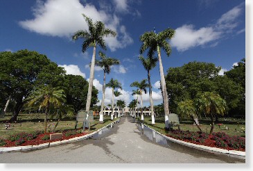 4 Single Grave Spaces on Sale $3200ea! Miami Memorial Park Miami, FL Section F The Cemetery Exchange 19-1115-3