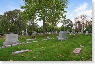 2 Single Grave Spaces for Sale $2Kea! Mount Olive Cemetery Chicago, IL Section LD The Cemetery Exchange 20-1223-1