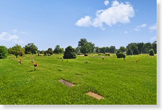 4 Single Grave Spaces on Sale Now $995ea!! Vahalla Gardens Belleville, IL Ascension The Cemetery Exchange 21-0511-4