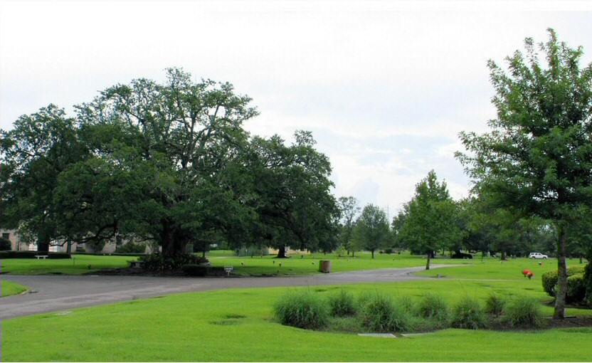 img1.jpg