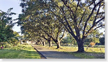 Grave Space for Sale $4K! Garden of Memories Memorial Park Lufkin, TX Rose Arbor The Cemetery Exchange 20-0113-10