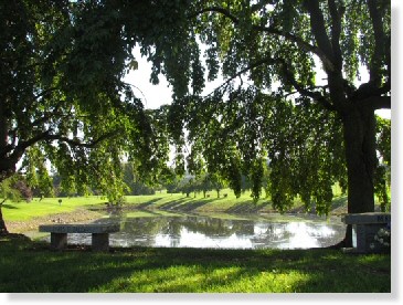 2 Single Grave Spaces for Sale $4500 for both! George Washington Memorial Park Plymouth Meeting, PA Good Shepherd The Cemetery Exchange 21-0512-4