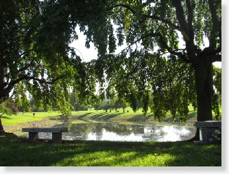 6 Single Grave Spaces for Sale $3900ea! George Washington Memorial Park Plymouth Meeting, PA Section N The Cemetery Exchange 22-1221-4