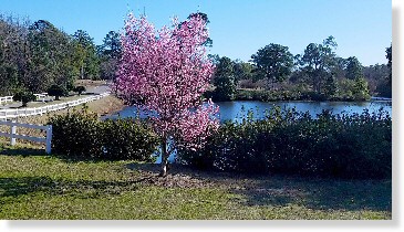 Companion Urn Niche for Sale $8K! Oleander Memorial Gardens Wilmington, NC Sunrise Mausoleum The Cemetery Exchange 21-0511-6