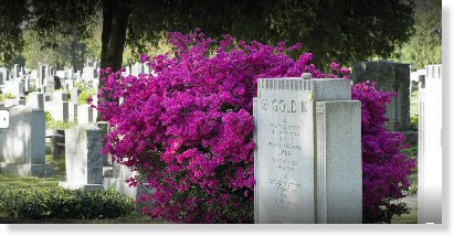 3 Single Grave Spaces $6K! Riverside Cemetery Saddle Brook, NJ Family #cemeteryexchange 25-0515-4