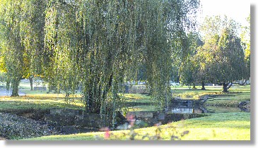 4 Single Grave Spaces $800ea! Valley Forge Memorial Gardens King of Prussia, PA Section 15 The Cemetery Exchange 24-0301-8